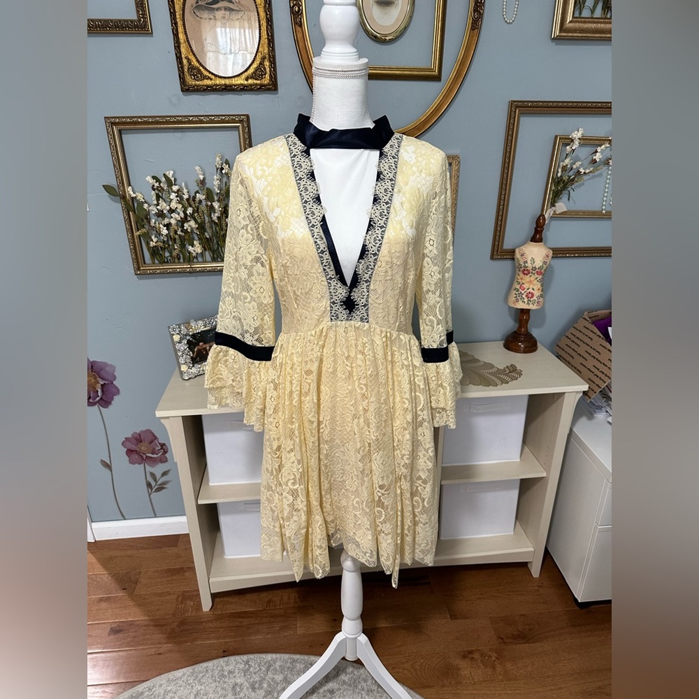 Free People Gilded Lace Mini Dress